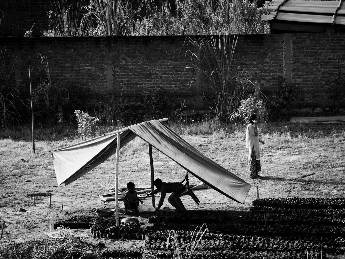 An open field with a shelter tent, a trestle table and a station kit laid out on the grass.